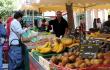 (Toulon) Farmer's Market