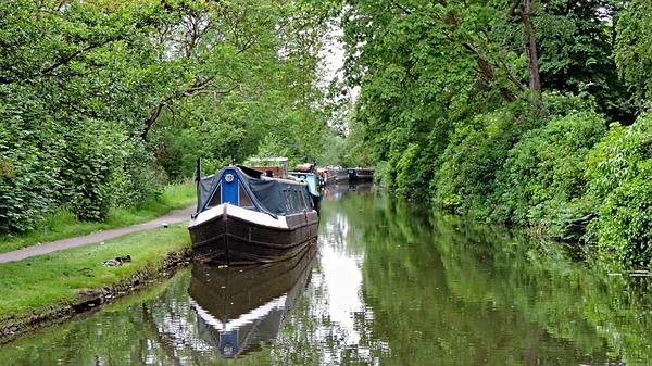 Canal Boat - Castle Mill Stream